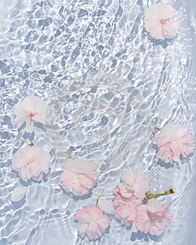 Small pink and white cherry flowers in blue wavy water. Beautiful flat lay blooming scene. AbstractÃ¢â¬â¹ closeup ofÃ¢â¬â¹Ã¢â¬â¹ blueÃ¢â¬â¹ photo